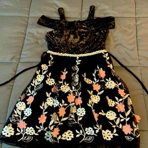 Gorgeous Fancy Dress for Girls!